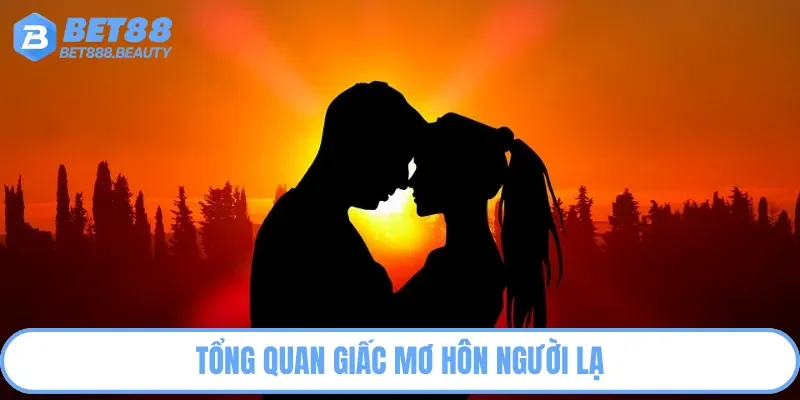 Chủ đề mơ hôn người lạ nhận được nhiều sự quan tâm
