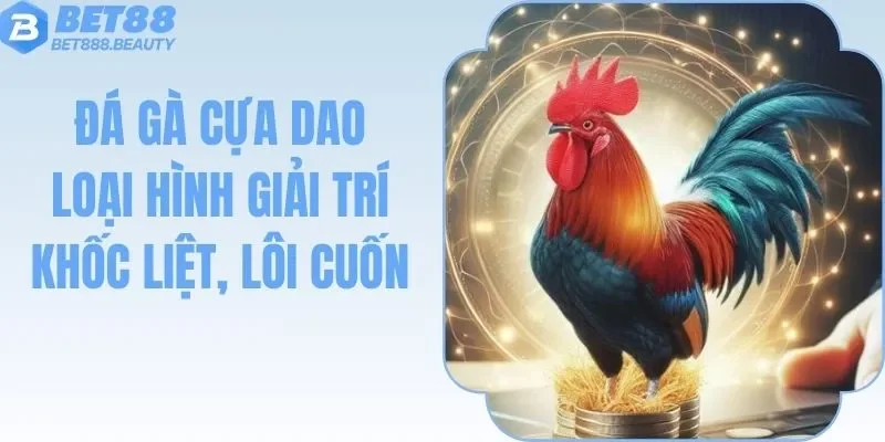 Đá Gà Cựa Dao Bet88 - Hình Thức Chọi Gà Khốc Liệt Lôi Cuốn