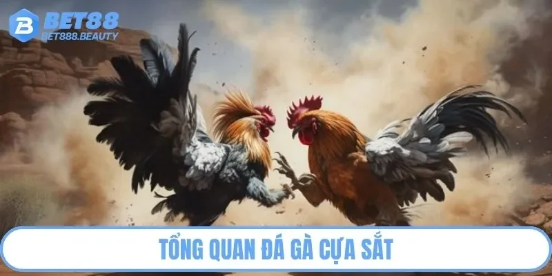 Tổng quan đá gà cựa sắt